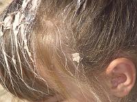 20110919-20110919-Ausflug Tongrube (77)